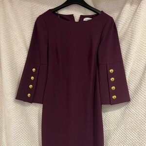 Calvin Klein Professional Dress